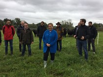 Ministerin Dr. Susanne Eisenmann beim Besuch des von NatureLife-International initiierten Wasserbüffelprojektes