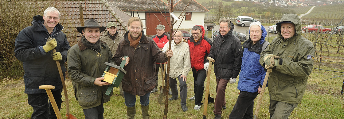 Pflanzaktion im Weingut Graf Adelmann